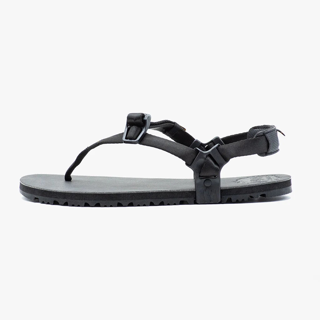 Middle Bear Winged Edition - Image 10