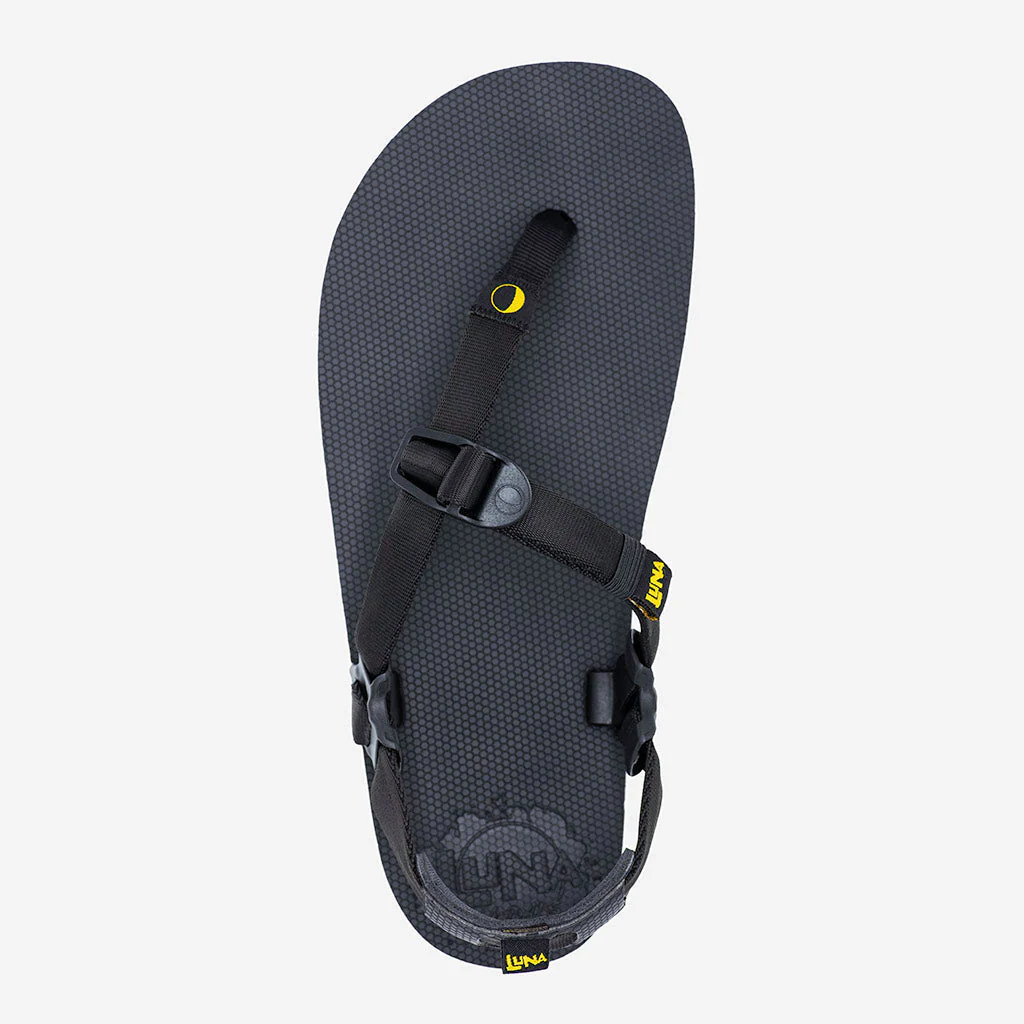 Middle Bear Winged Edition - Image 5