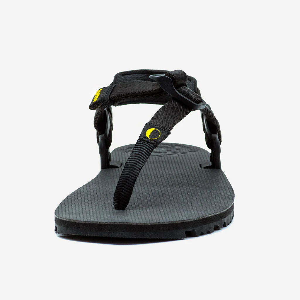 Oso Flaco Winged Edition - Image 8